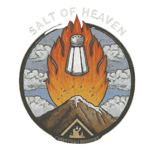 Salt of Heaven-HolyReads