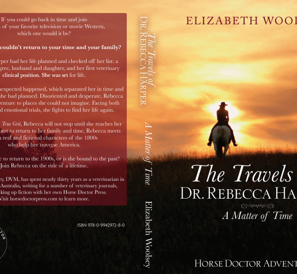 The Travels of Dr. Rebecca Harper: A Matter of Time
