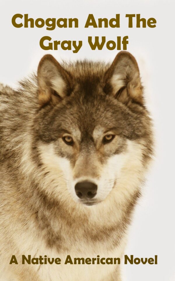 Chogan And The Gray Wolf: A Native American Novel
