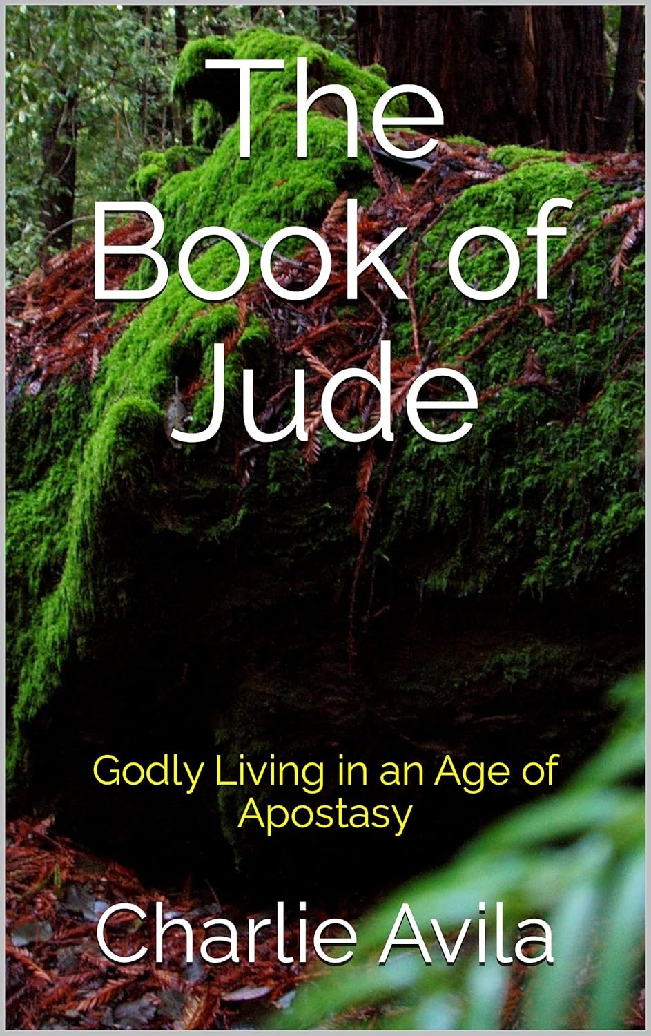 The Book of Jude - Salt of Heaven